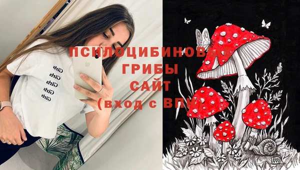 не бодяженный Дмитров