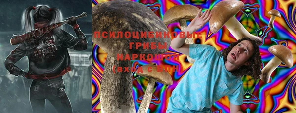 не бодяженный Дмитров