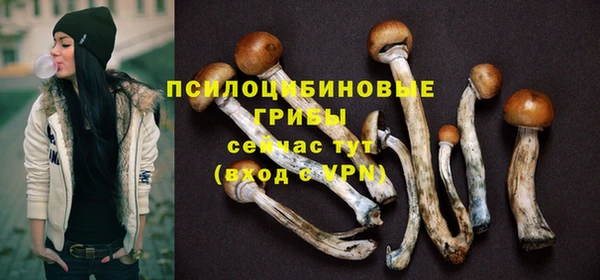 не бодяженный Дмитров